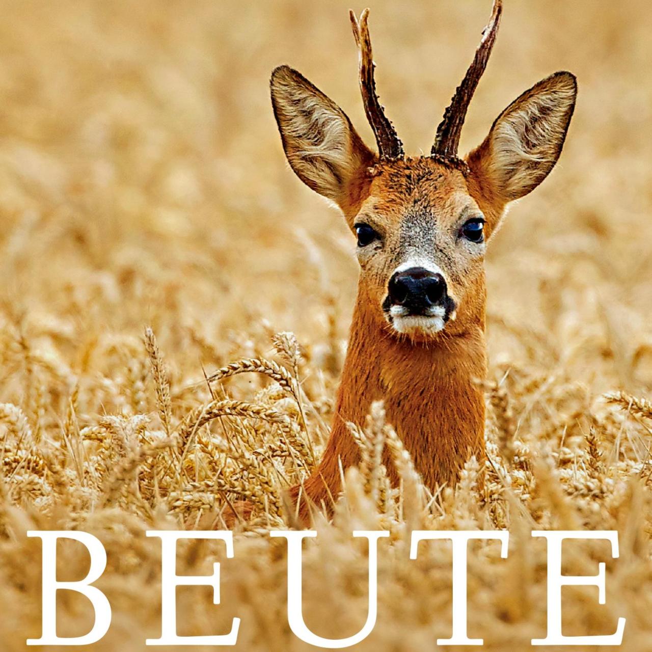 Beute